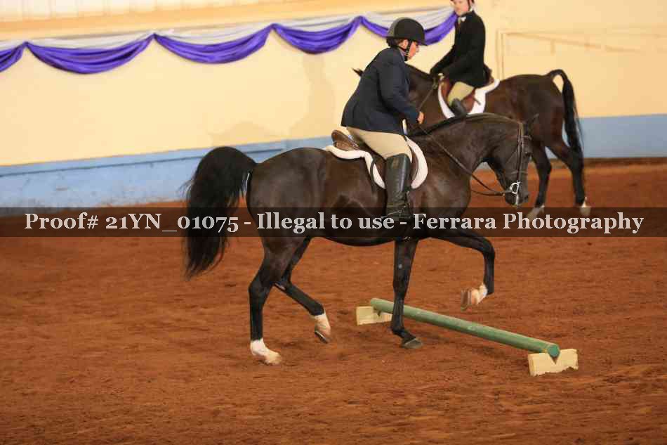 Proof 21YN_01075