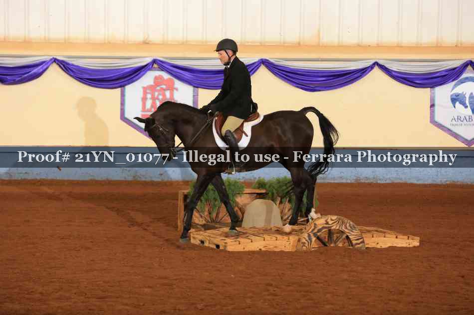 Proof 21YN_01077