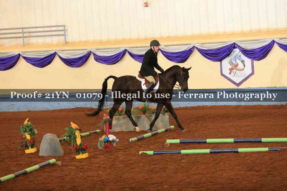 Proof 21YN_01079