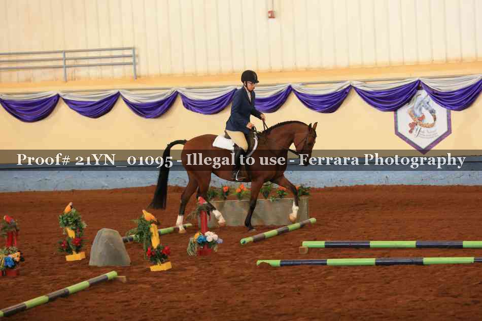 Proof 21YN_01095