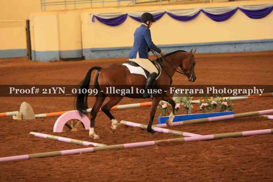 Proof 21YN_01099