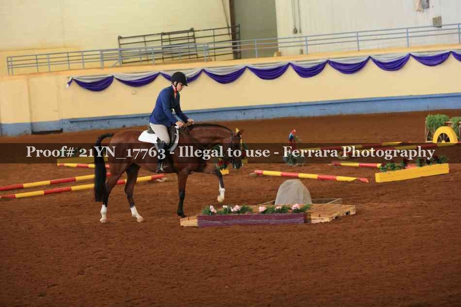 Proof 21YN_17763