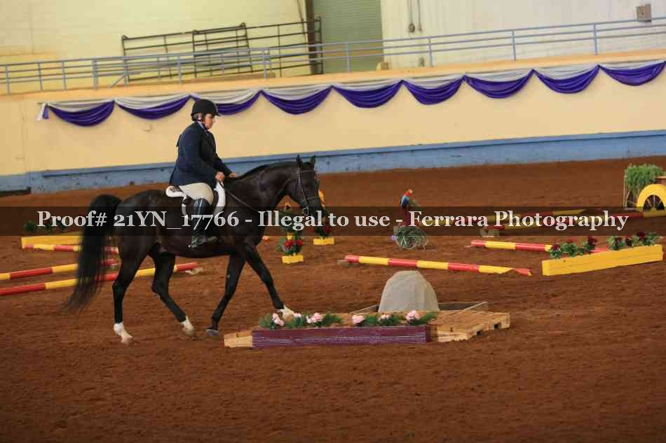 Proof 21YN_17766