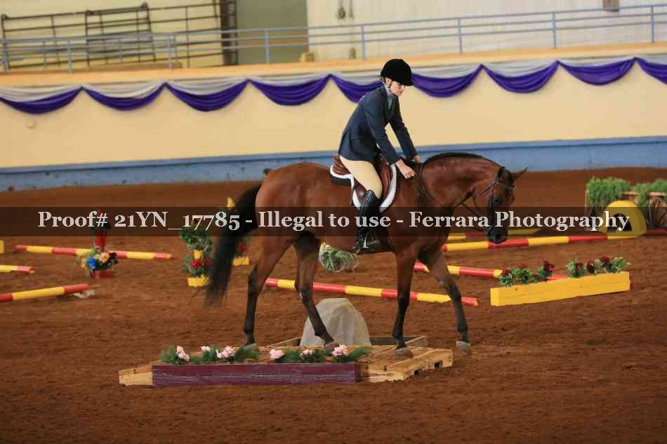 Proof 21YN_17785