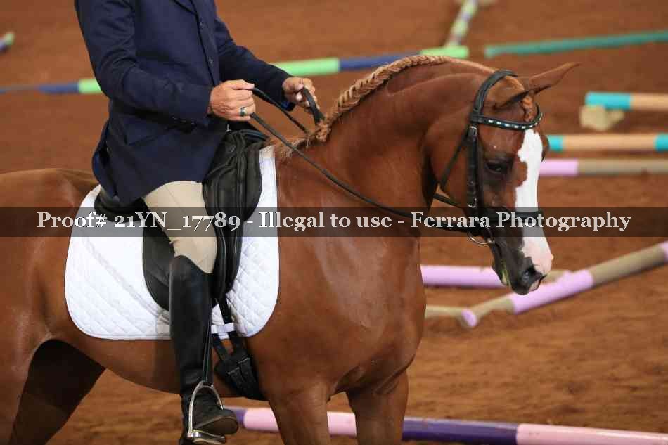 Proof 21YN_17789