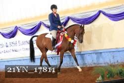 21YN_17811 proof