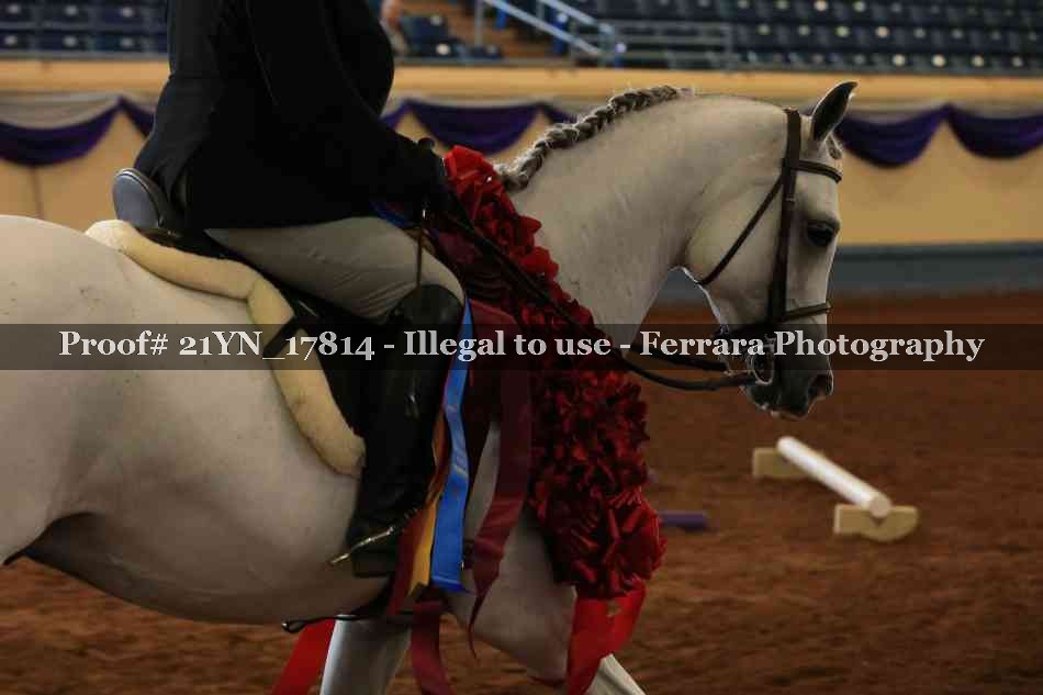 Proof 21YN_17814