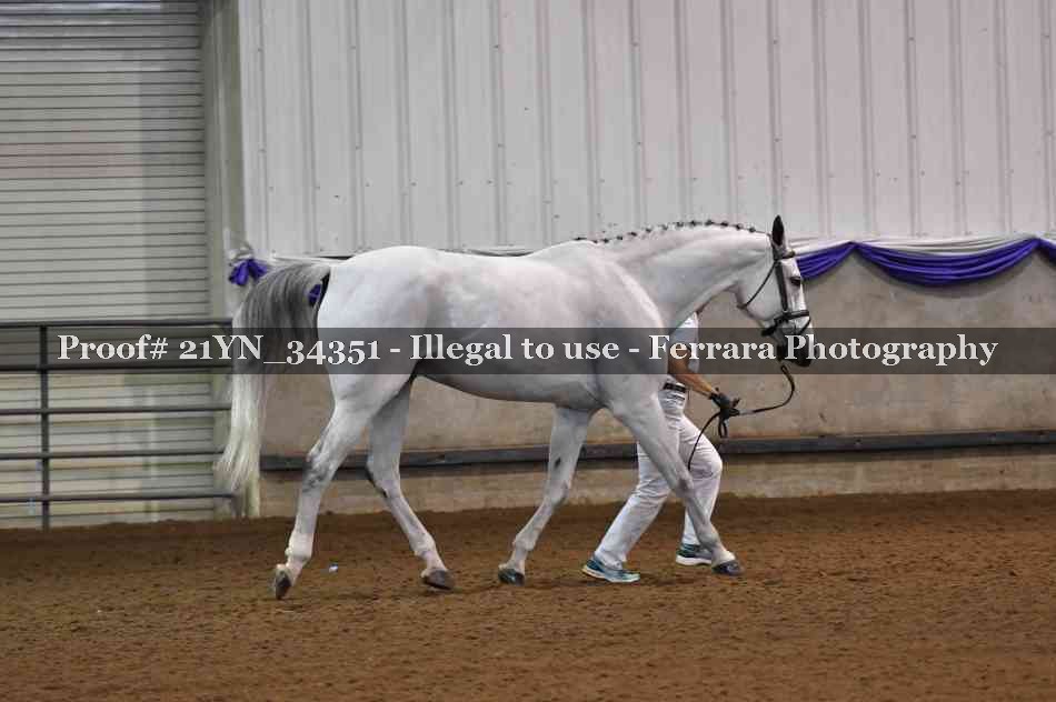 Proof 21YN_34351