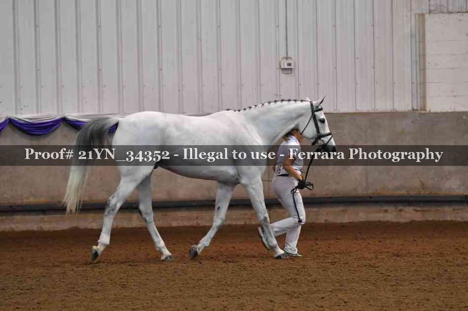 Proof 21YN_34352