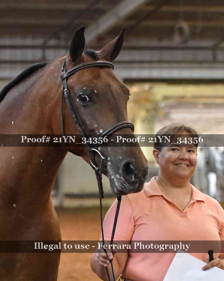 Proof 21YN_34356