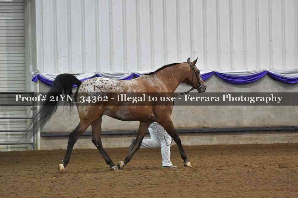 Proof 21YN_34362