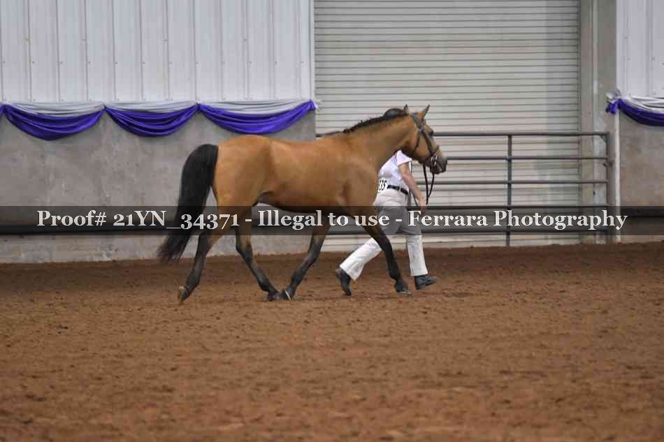 Proof 21YN_34371