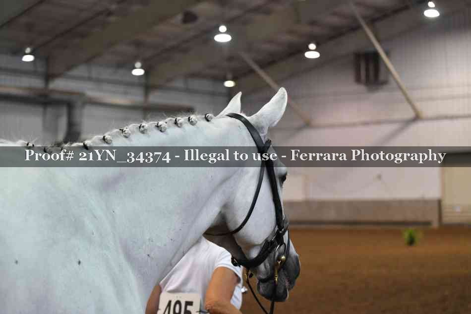 Proof 21YN_34374