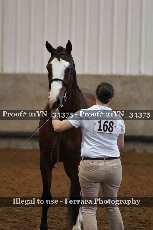 Proof 21YN_34375