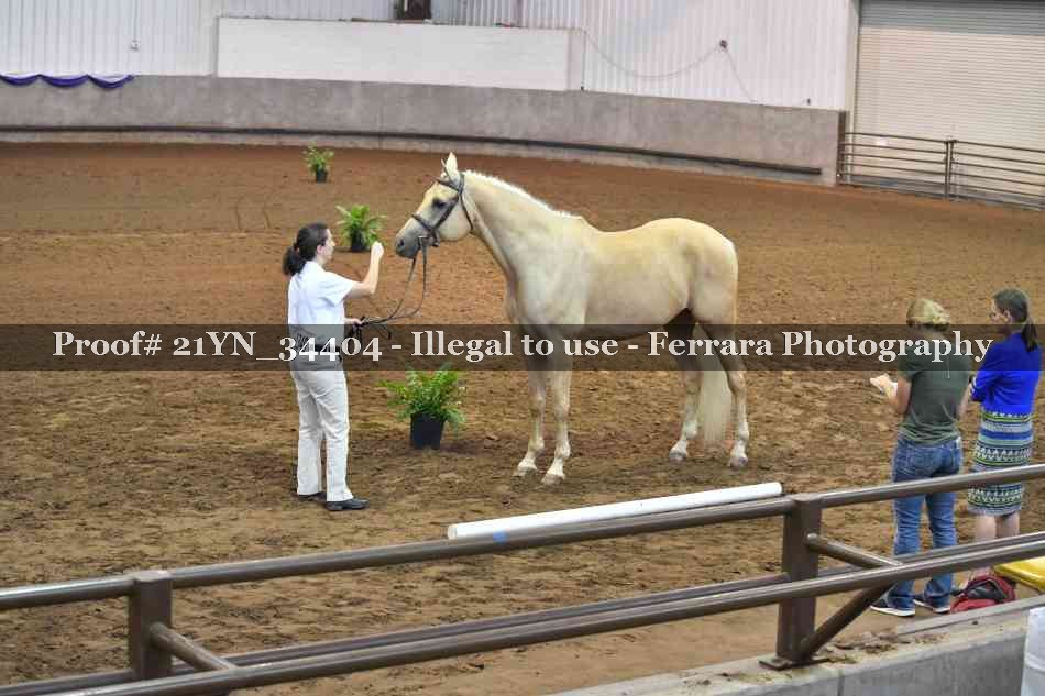 Proof 21YN_34404