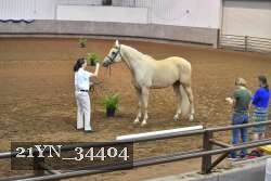 21YN_34404 proof