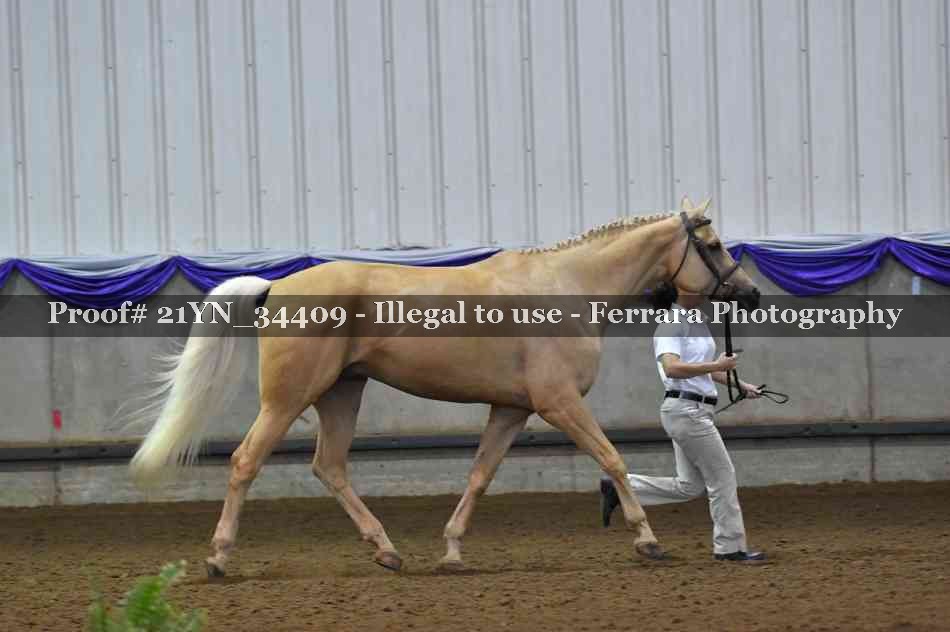 Proof 21YN_34409