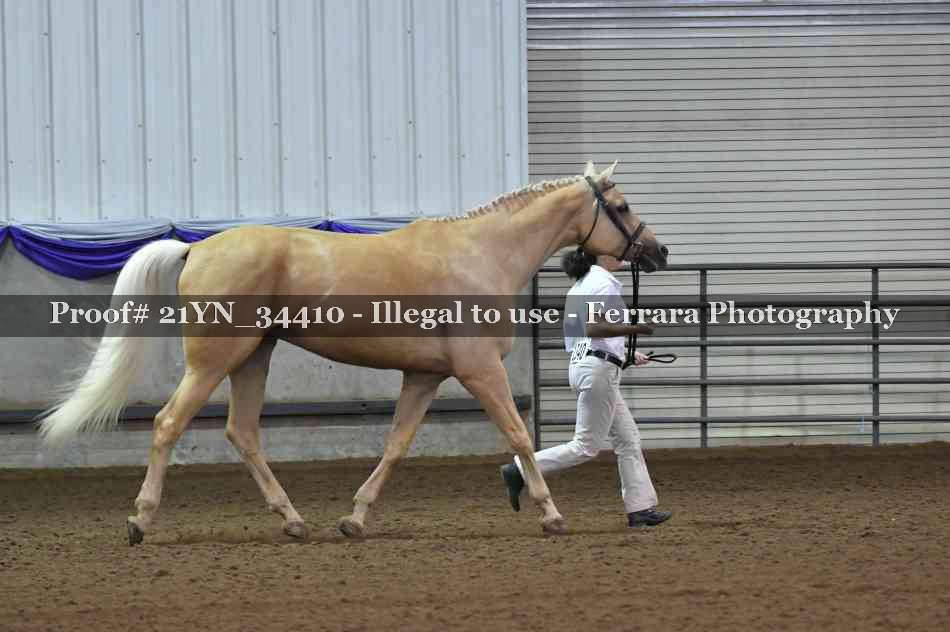 Proof 21YN_34410