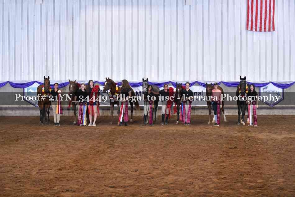 Proof 21YN_34449