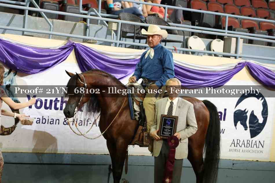 Proof 21YN_68102