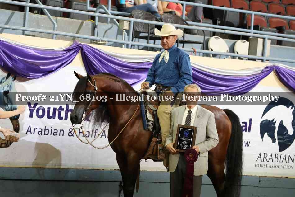 Proof 21YN_68103