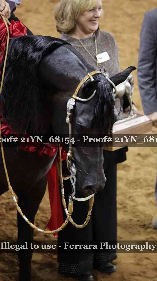 Proof 21YN_68154