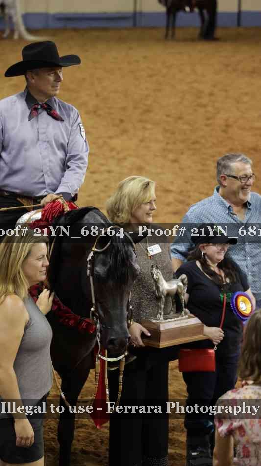 Proof 21YN_68164