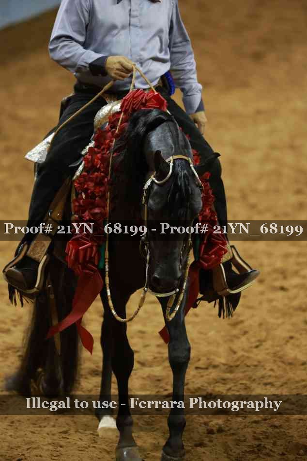 Proof 21YN_68199