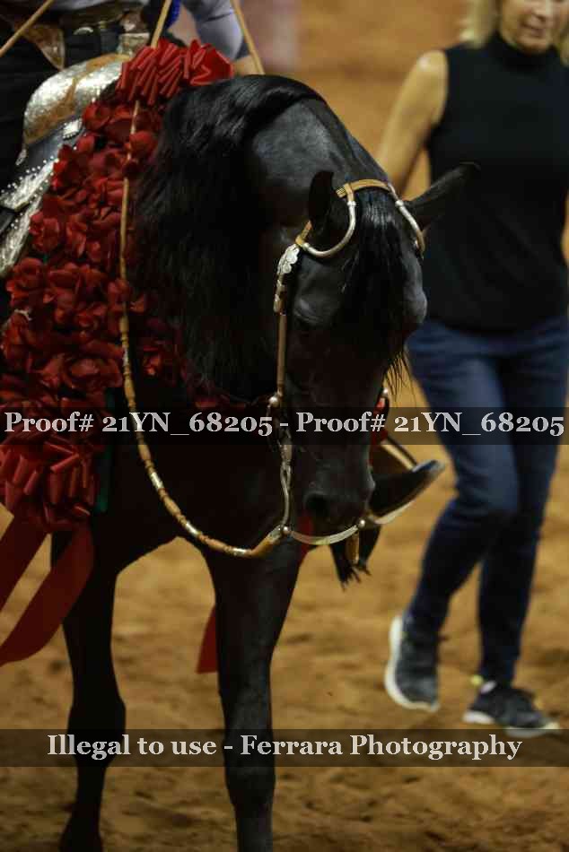 Proof 21YN_68205