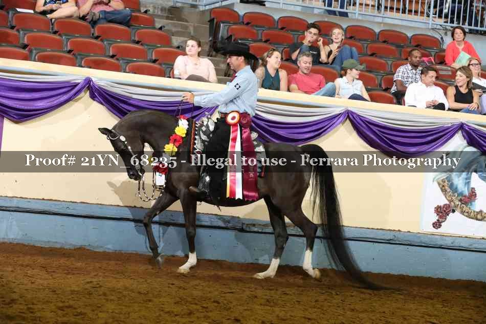 Proof 21YN_68235