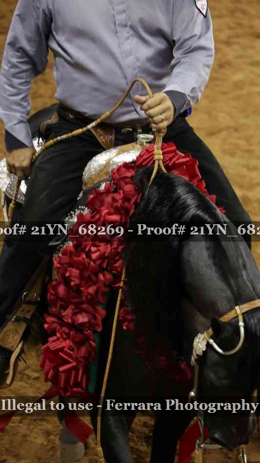 Proof 21YN_68269
