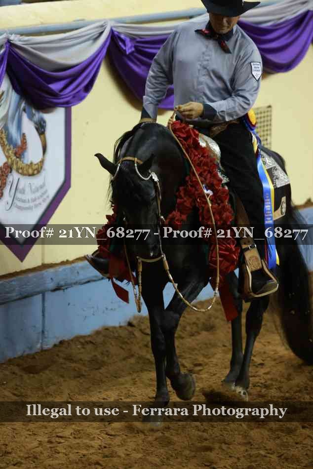 Proof 21YN_68277