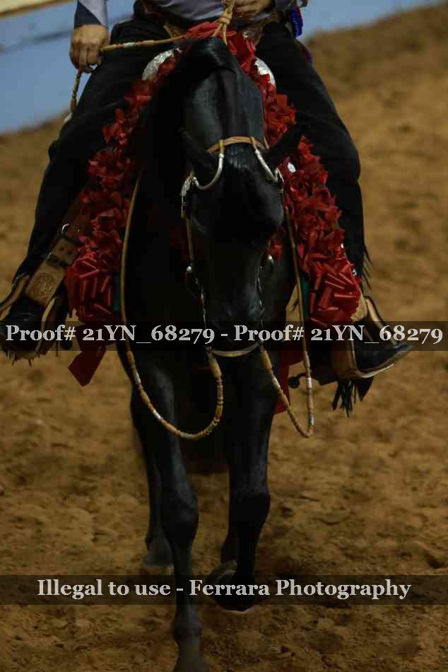 Proof 21YN_68279