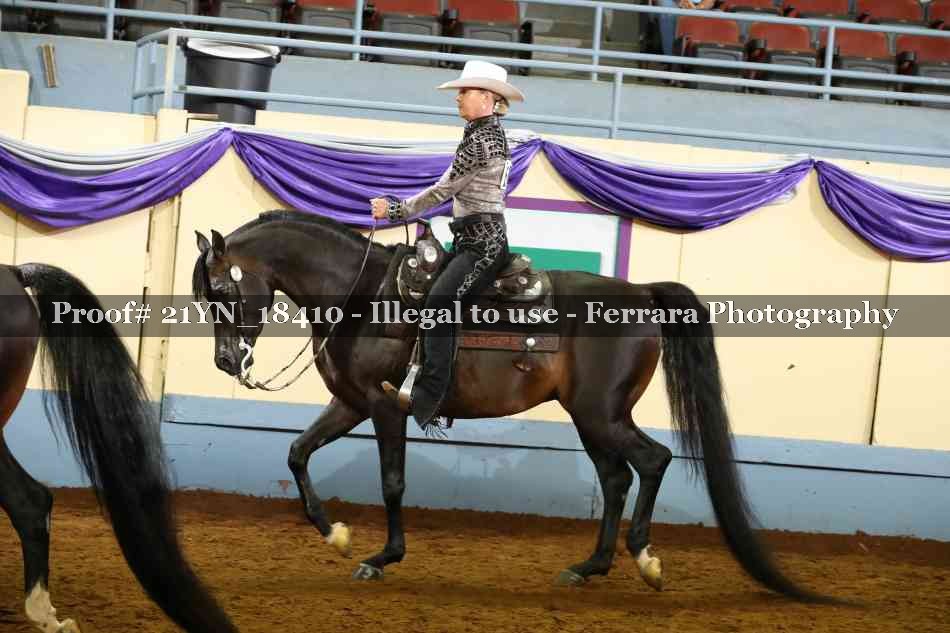Proof 21YN_18410