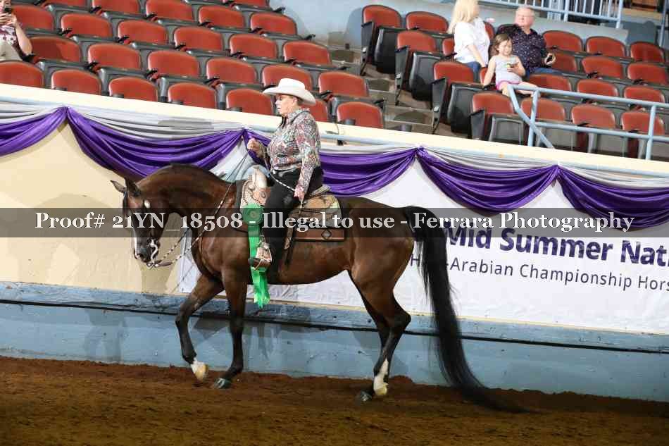 Proof 21YN_18508