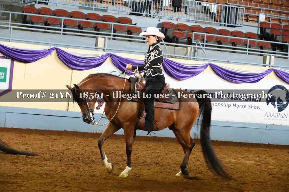 Proof 21YN_18561