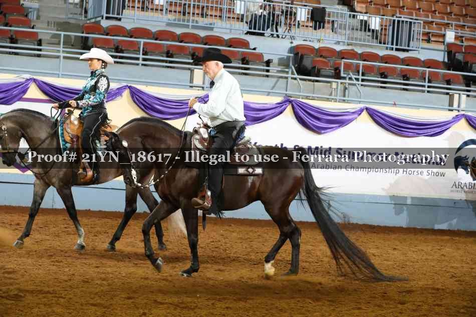 Proof 21YN_18617