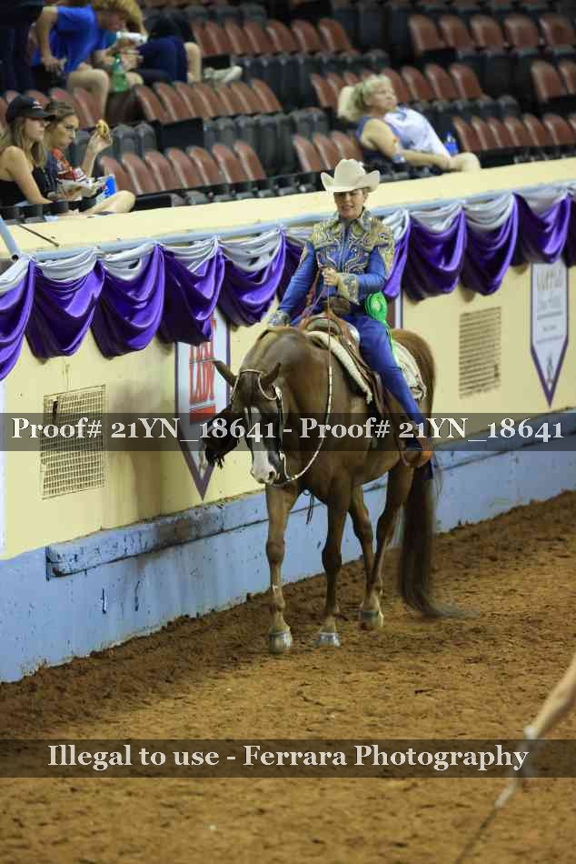 Proof 21YN_18641