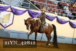 21YN_42812 proof