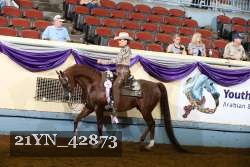 21YN_42873 proof