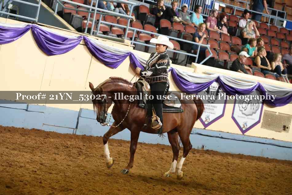 Proof 21YN_53027