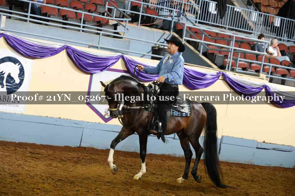 Proof 21YN_05267