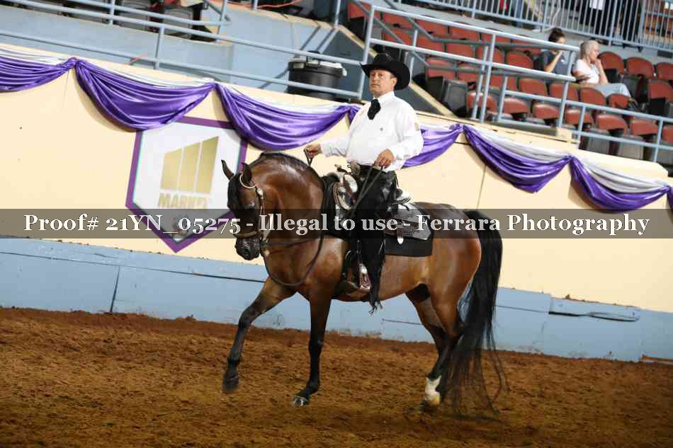 Proof 21YN_05275