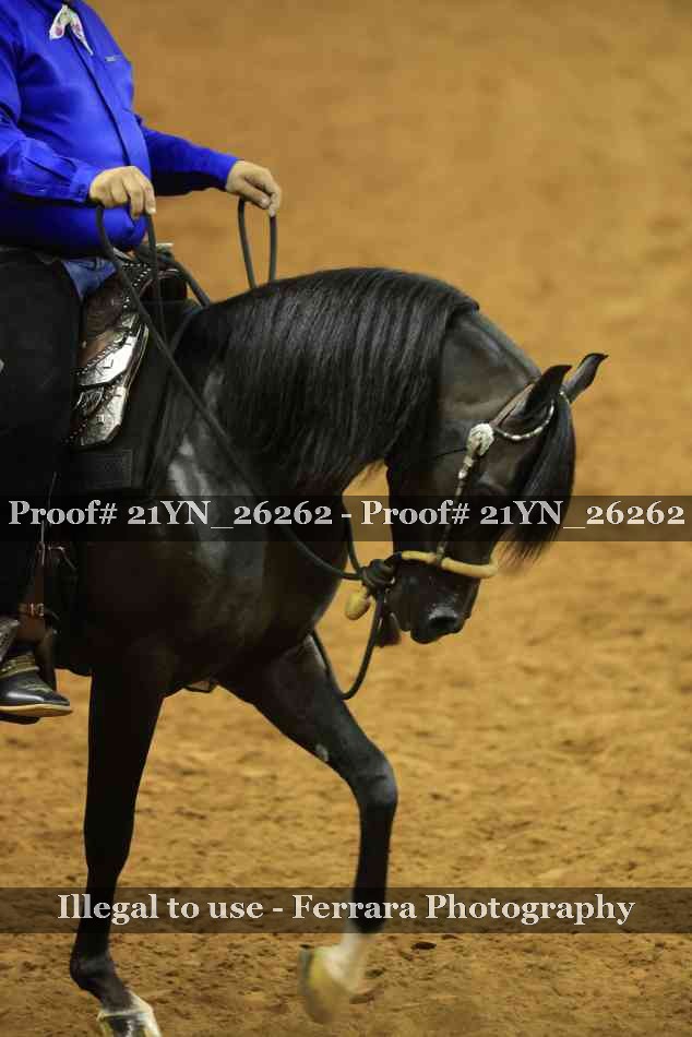 Proof 21YN_26262