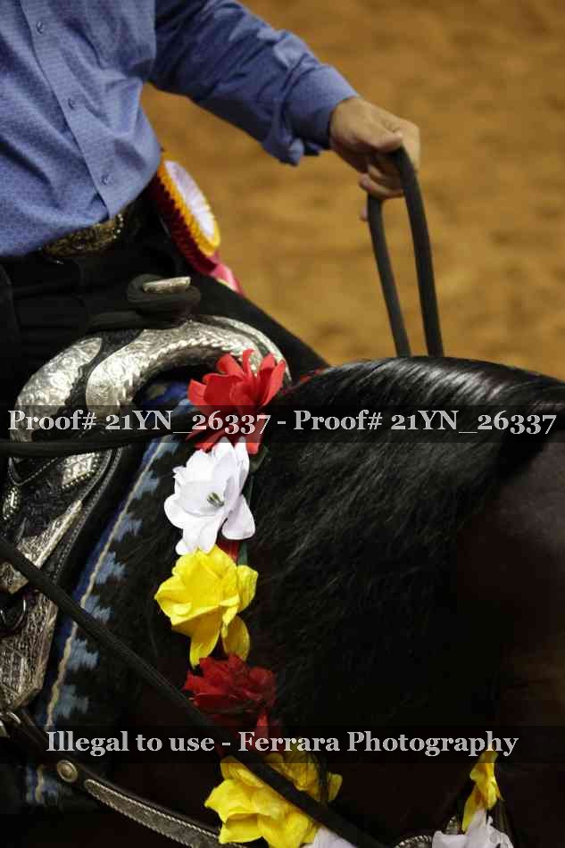 Proof 21YN_26337