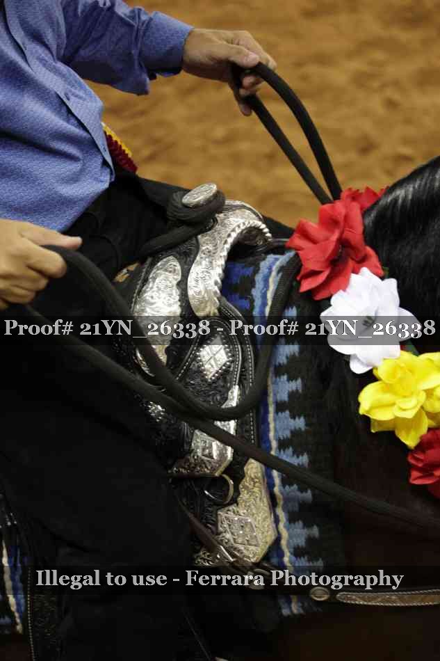 Proof 21YN_26338