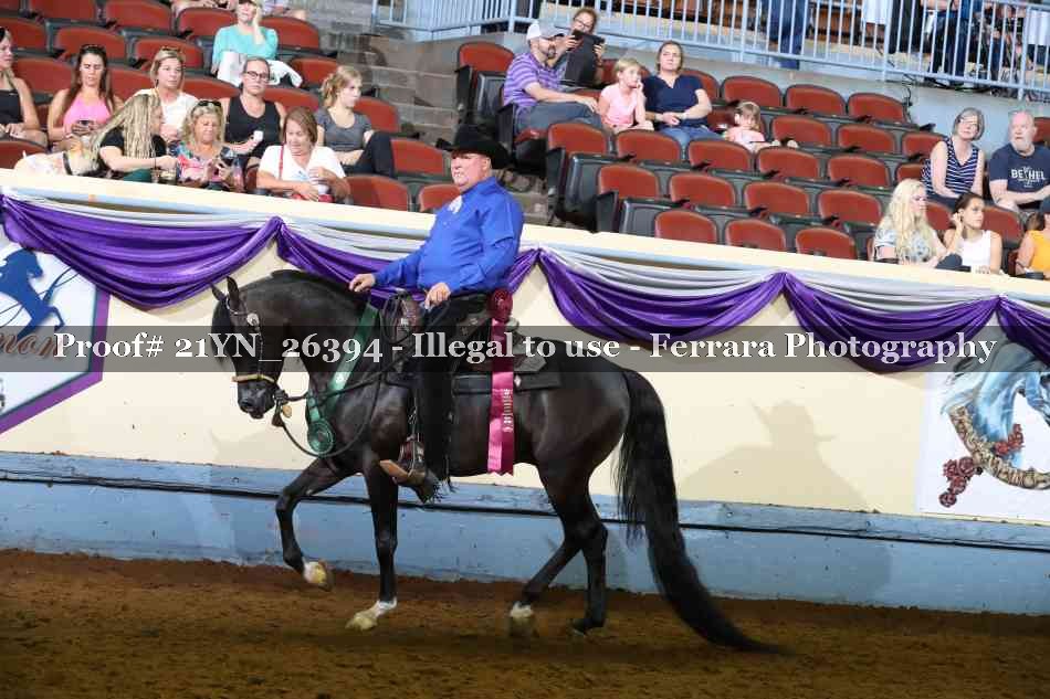 Proof 21YN_26394