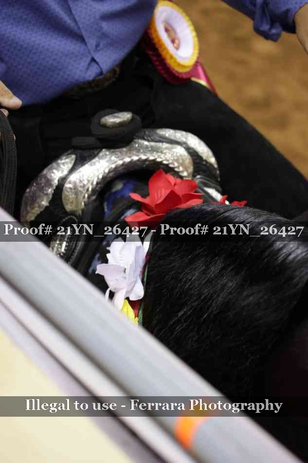 Proof 21YN_26427