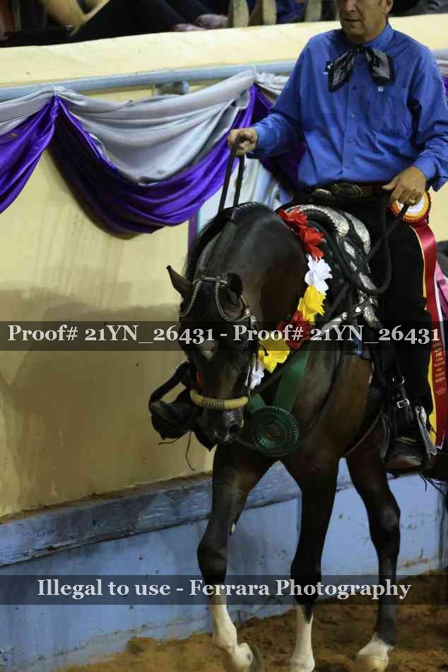 Proof 21YN_26431