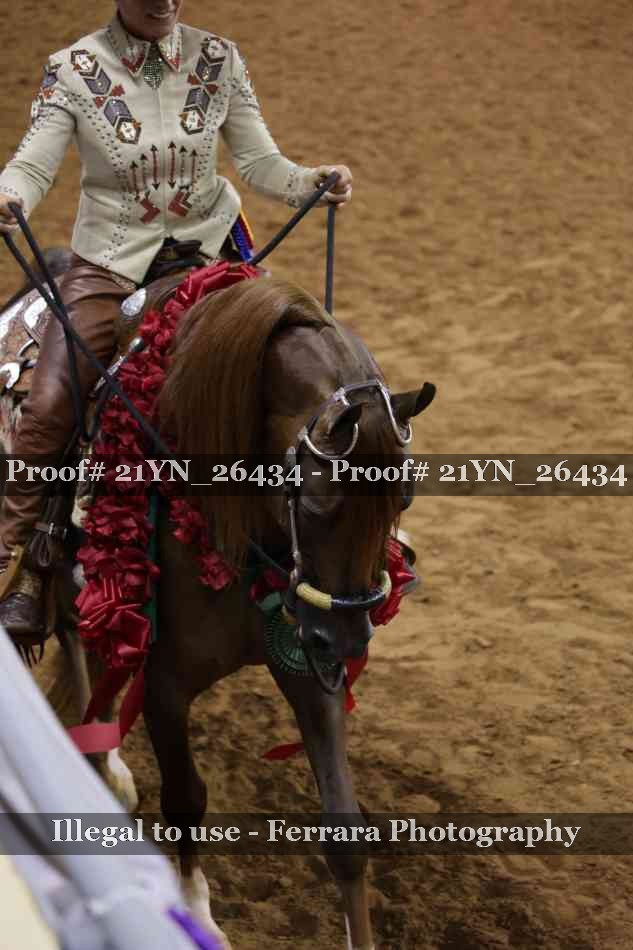 Proof 21YN_26434